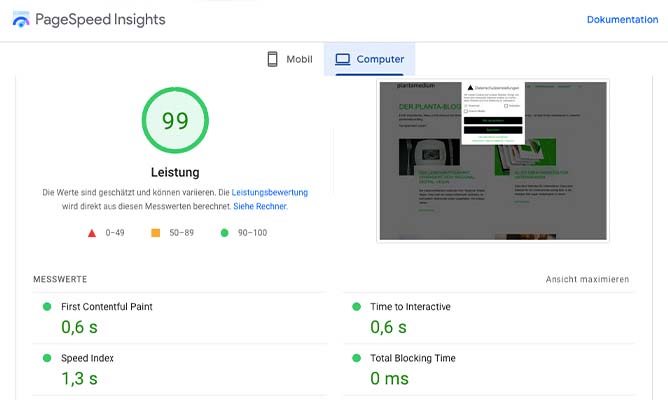 SEO Google Pagespeed Insights Auswertung einer Seite nach Geschwindigkeit